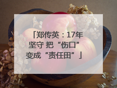 郑传英：17年坚守 把“伤口”变成“责任田”